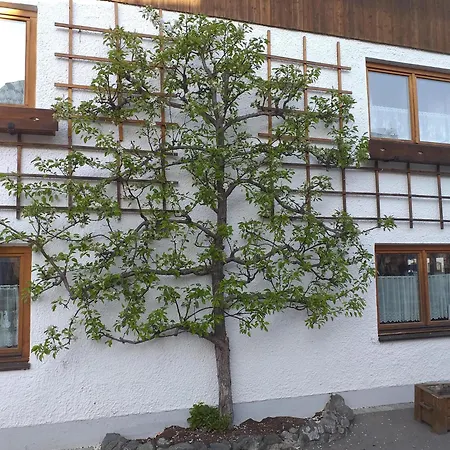 Dietz Apartman